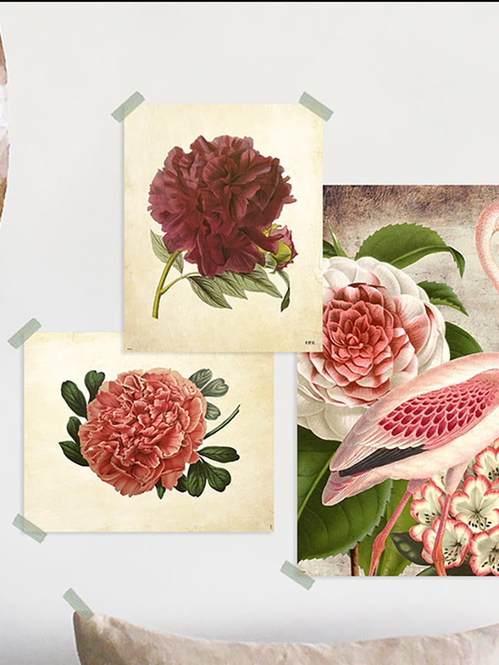 Lámina Flor Coral - Imagen 2