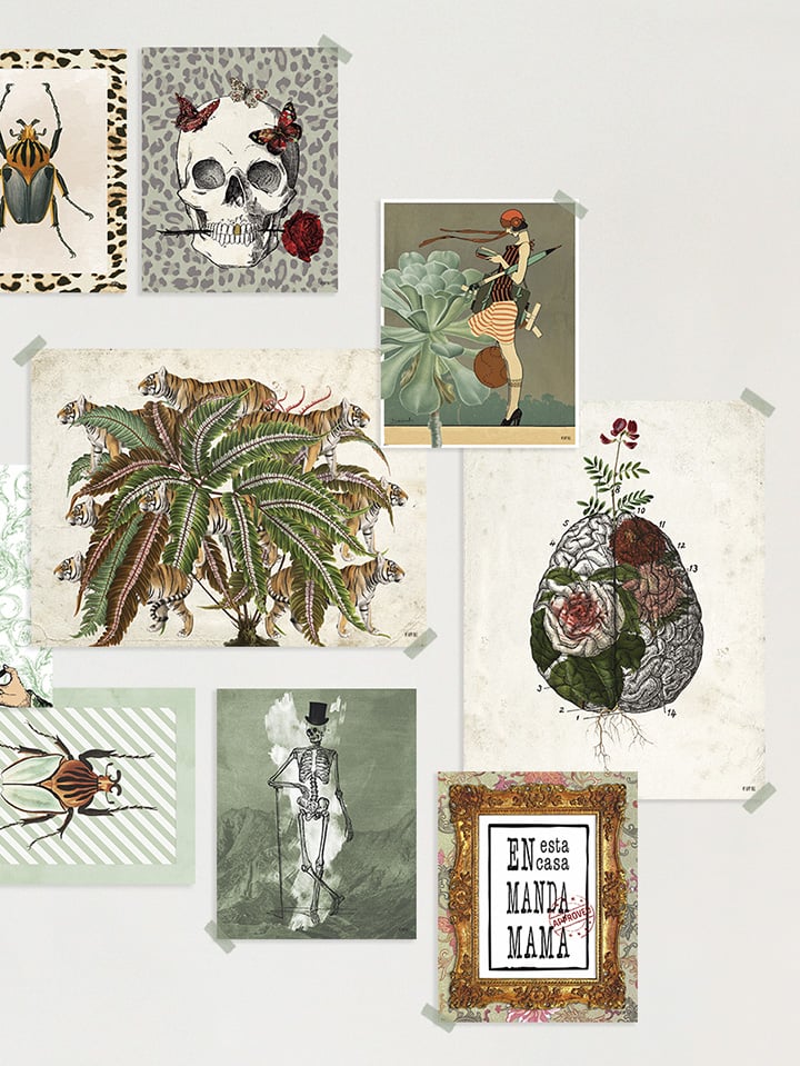 Lámina Planta Tigres - Imagen 2