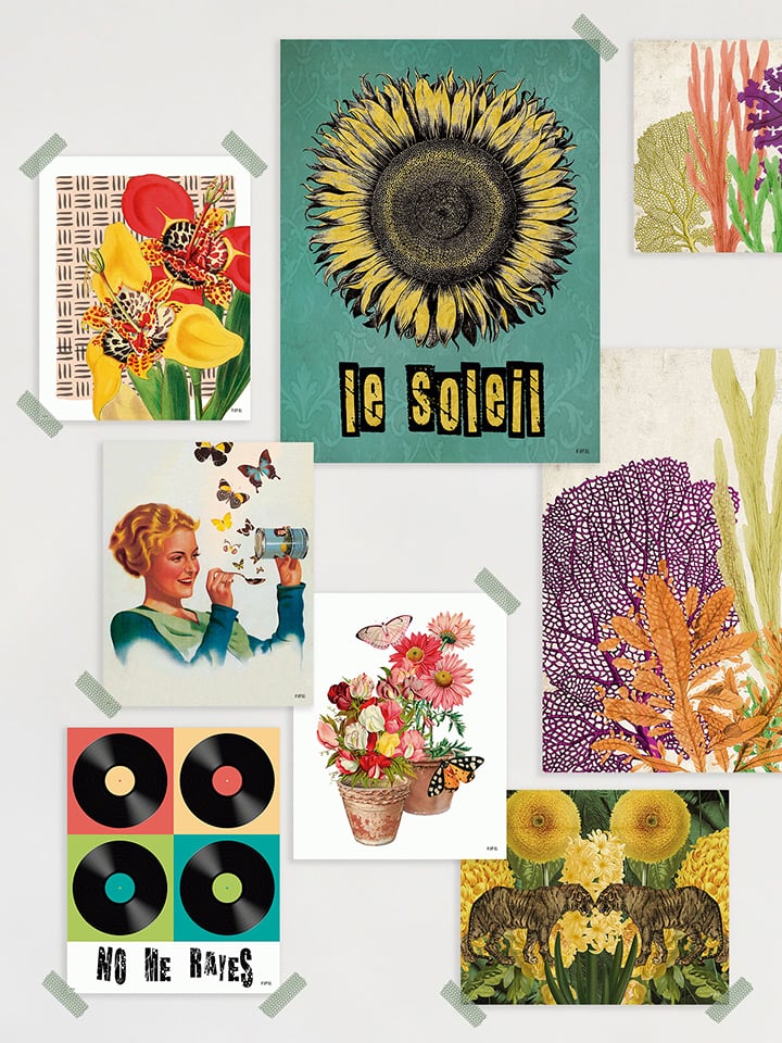 Lámina Lata de Mariposas - Imagen 2