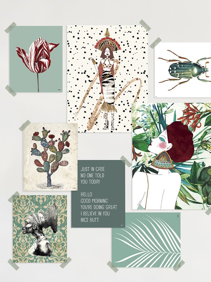 Lámina Cactus Tapizado - Imagen 2