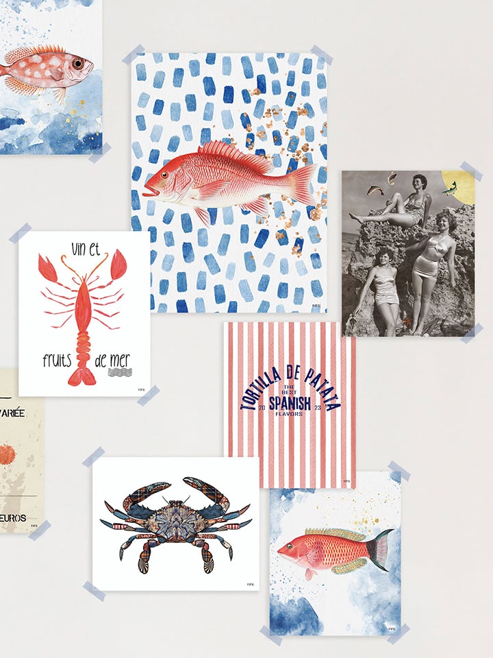 Lámina Cangrejo Tapizado - Imagen 2