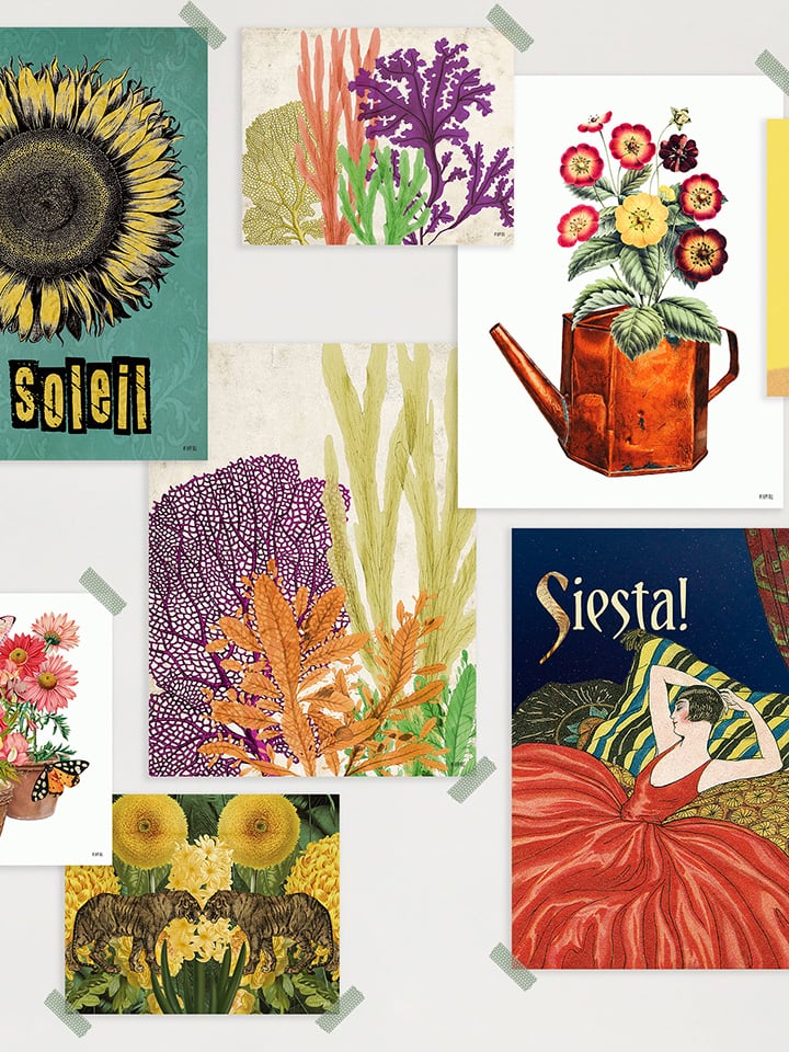 Lámina Fondo del Mar - Imagen 2