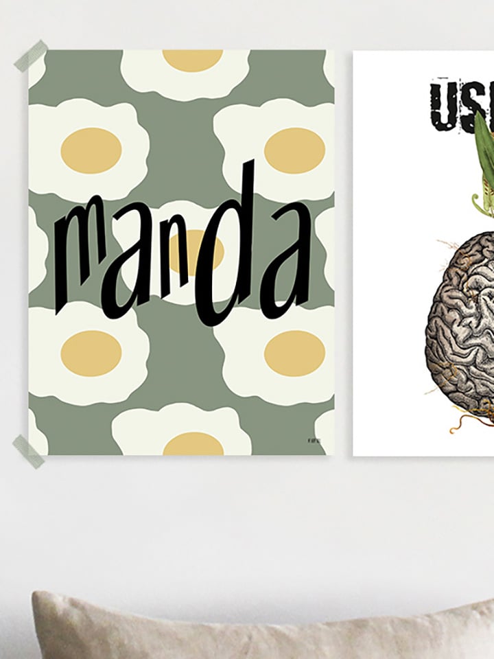 Lámina Manda - Imagen 2