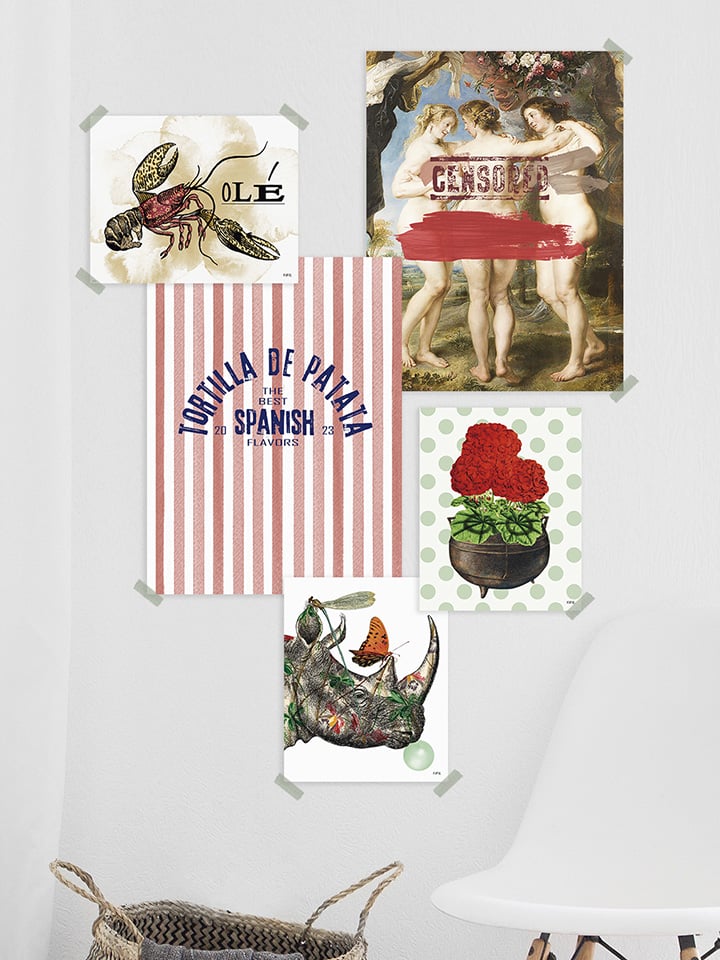 Lámina Rino Insectos - Imagen 2