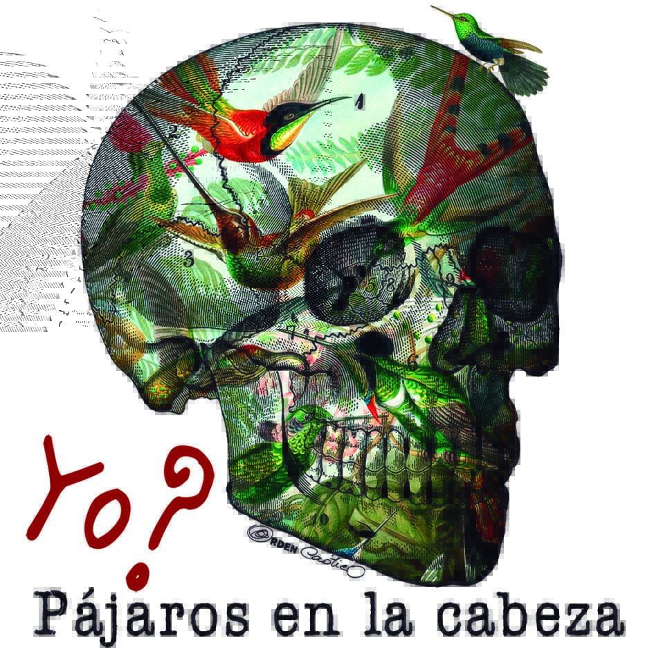 Taza Pájaros - Imagen 2